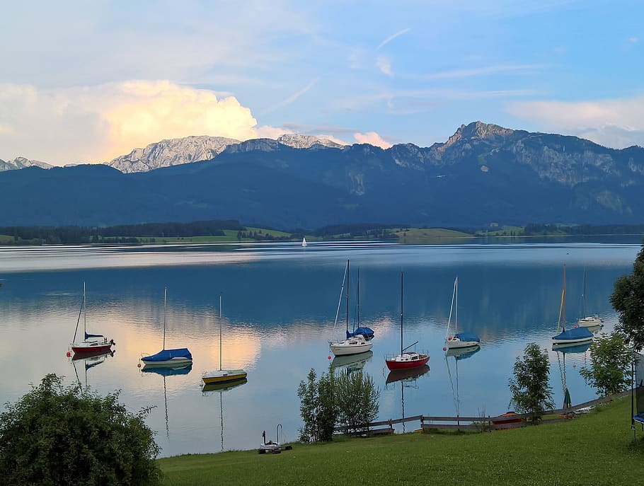 füssen, lake, castle view, mountain, water, beauty in nature HD wallpaper