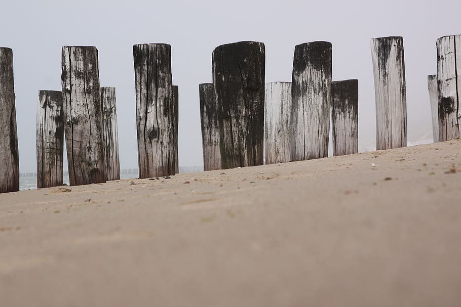 sand, beach, coast, pole, poles, wood, netherlands, zealand HD wallpaper