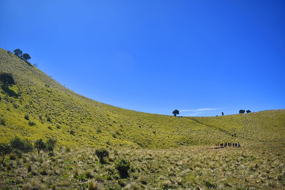 meadow, landscape, hill, mountain, adventure, hiking, sky, environment HD wallpaper