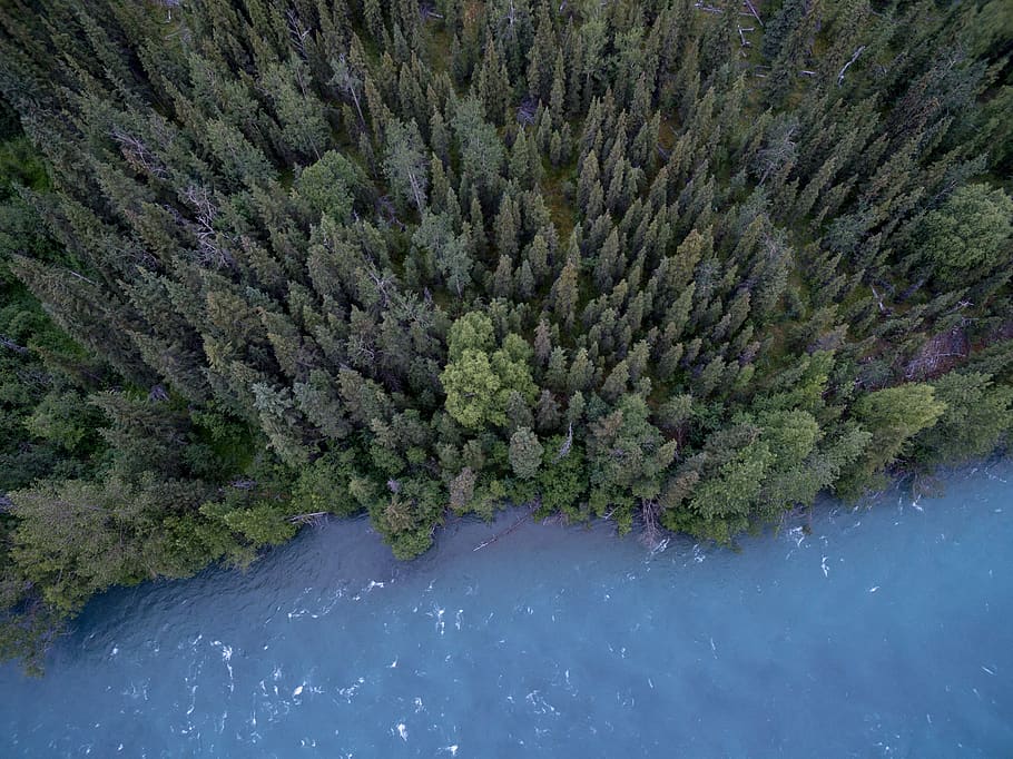 lake, river, water, trees, forest, woods, nature, aerial, view HD wallpaper