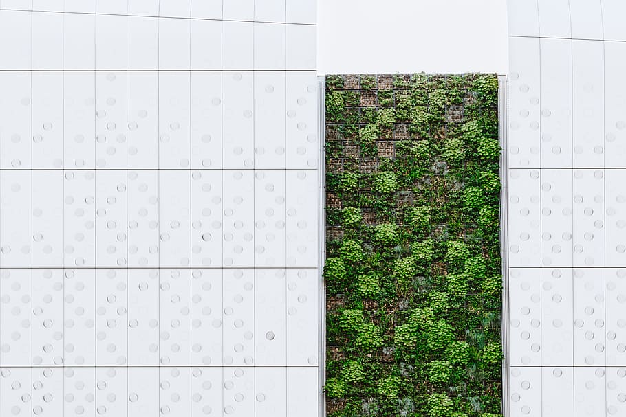 green grass, leaf, plant, vertical, circle, building, wall, rectangle HD wallpaper