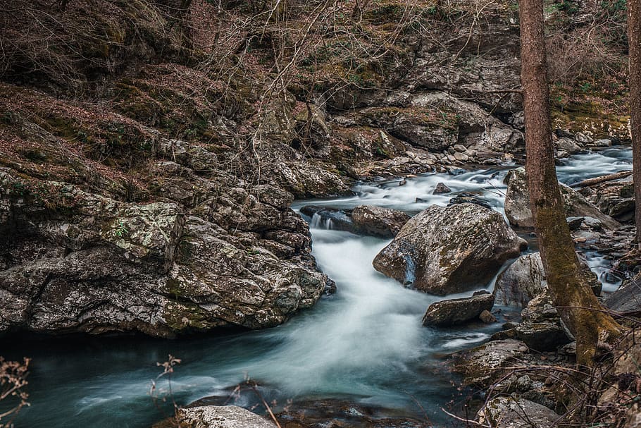 rocks, stone, river, water, nature, tree, plant, branch, rock - object HD wallpaper