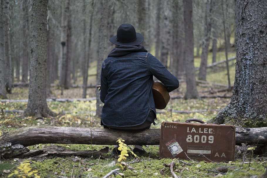person playing guitar in forest, suitcase, tree, wood, music HD wallpaper