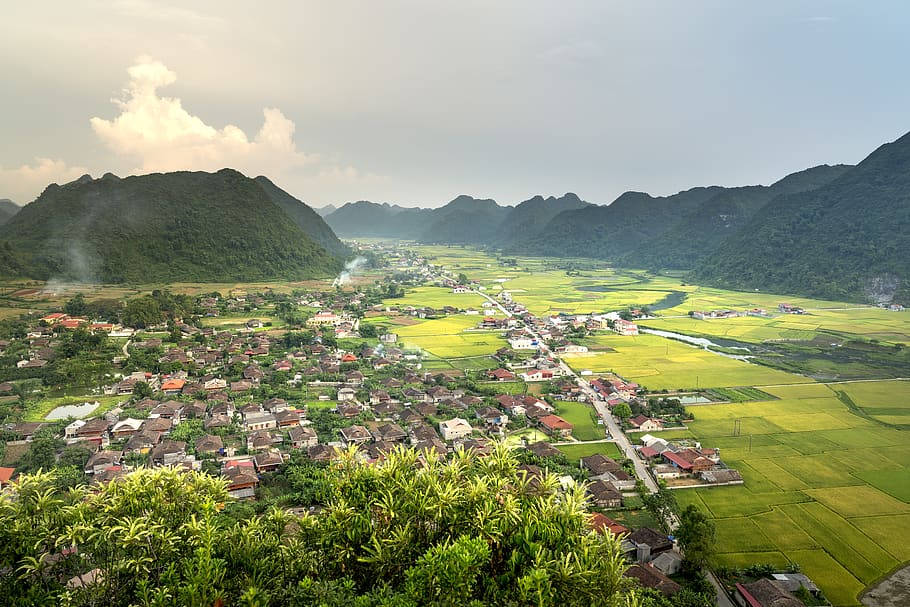 bac son, silk, field, the valley, vietnam, the landscape, natural, HD wallpaper