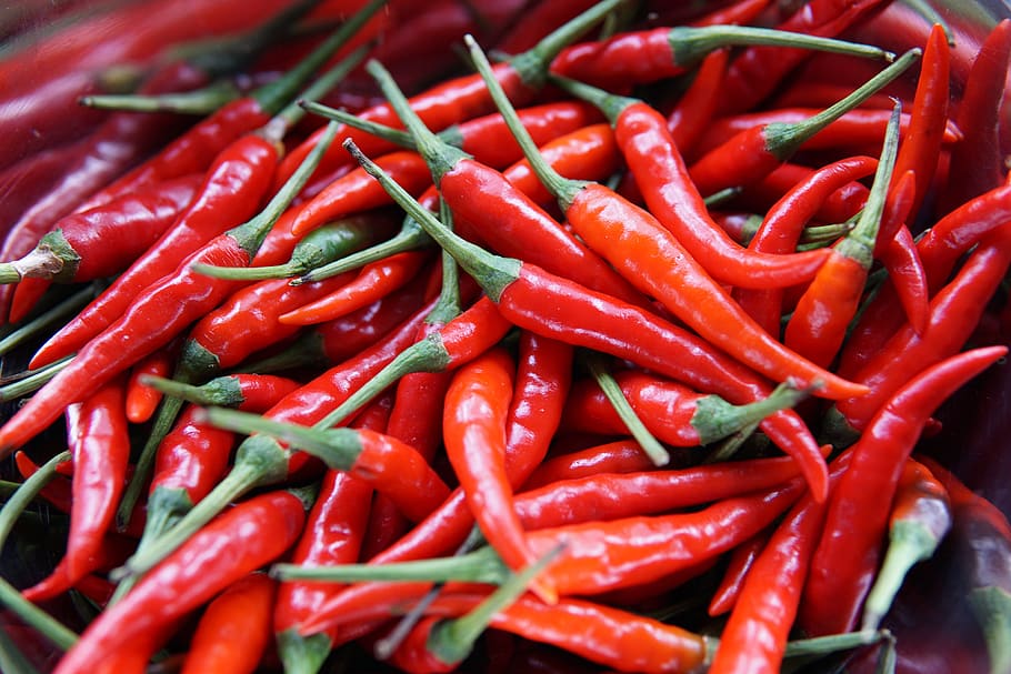 red chili peppers, food, vegetable, flora, plant, produce, philippines HD wallpaper