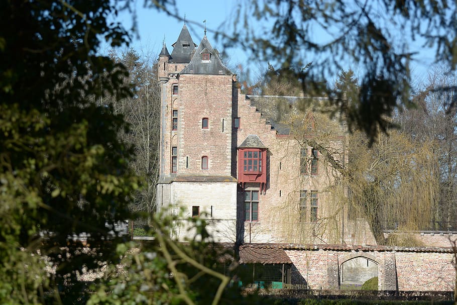 castle, building, architecture, medieval, built structure, tree HD wallpaper