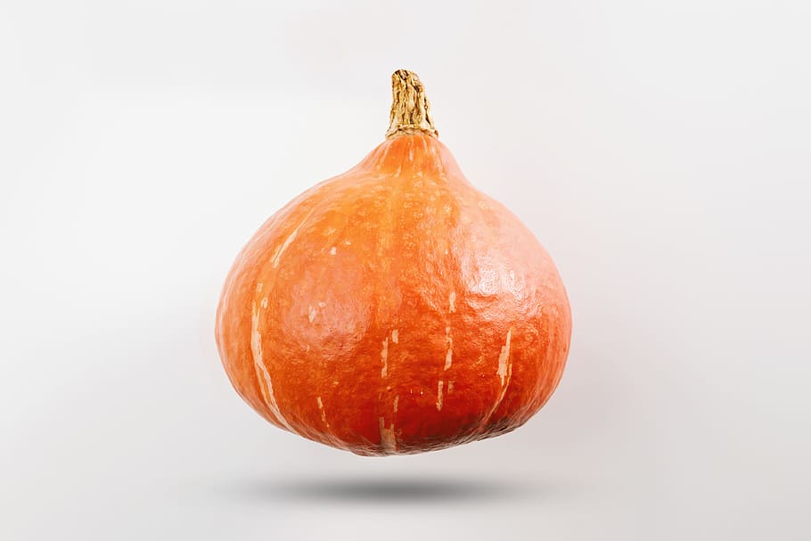Pumpkin on white background, food, studio shot, food and drink HD wallpaper