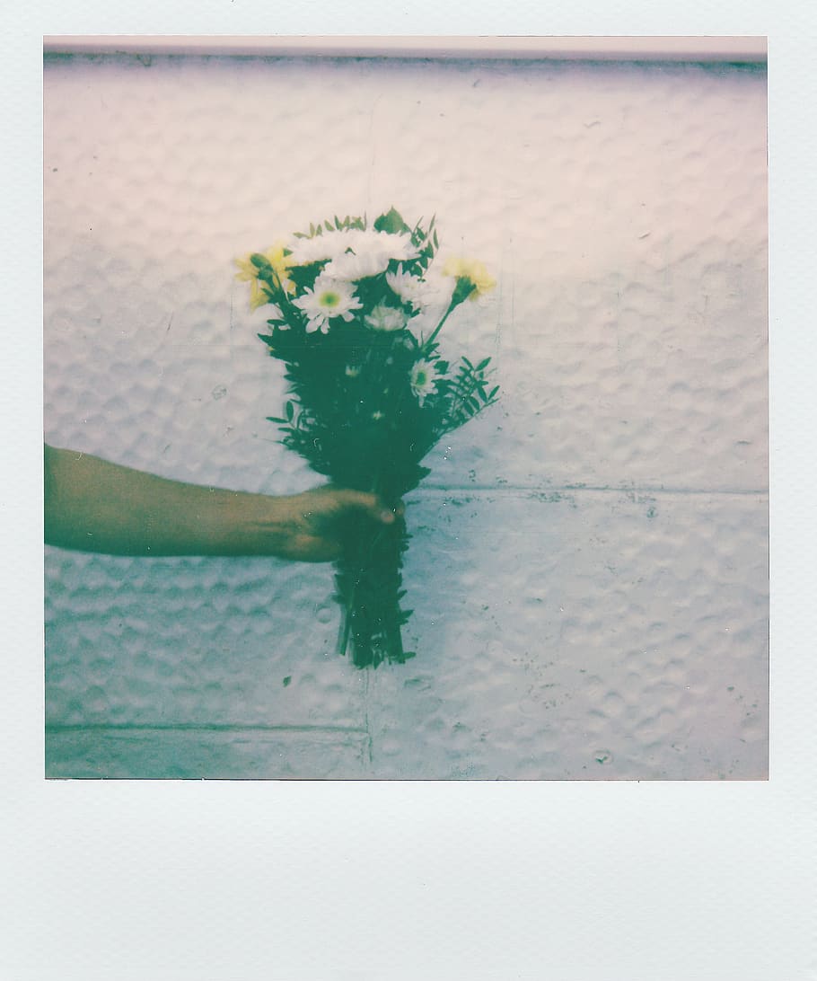 Photo of Person's Hand Holding Flowers, bloom, blooming, blossom HD wallpaper