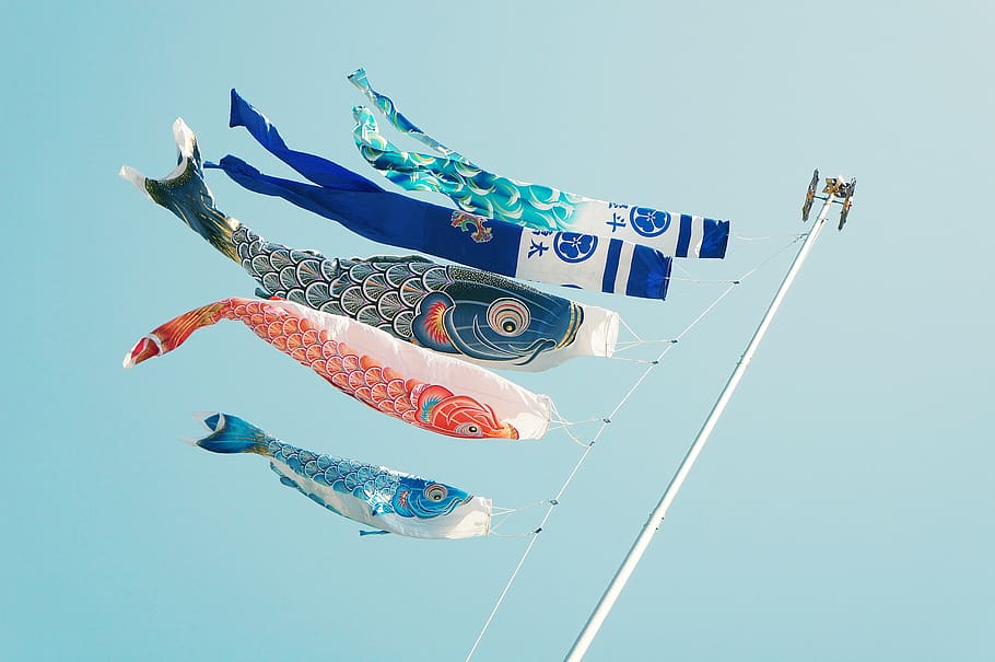 still, items, things, kites, banners, koi, graphic, design HD wallpaper
