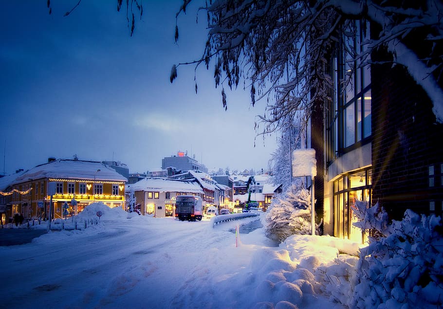 norway, tromsø, blue, winter, snow, hygge, tree, christmas, HD wallpaper