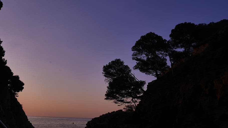 spain, begur, landscape, tree, sea, wallpaper, sunrise, sky HD wallpaper