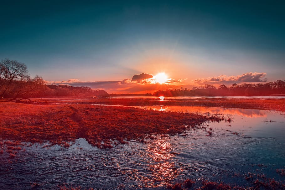 morocco, sidi mghait, cloudy, forest, trees, water, sundown HD wallpaper