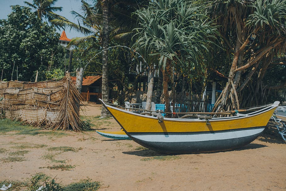 yellow and white boat near trees, watercraft, vehicle, vessel, HD wallpaper