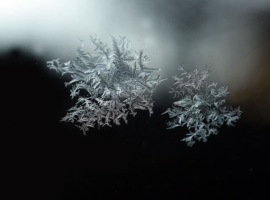 crystal, ice, flake, snow, cold, crystals, gel, nature, frost, HD wallpaper