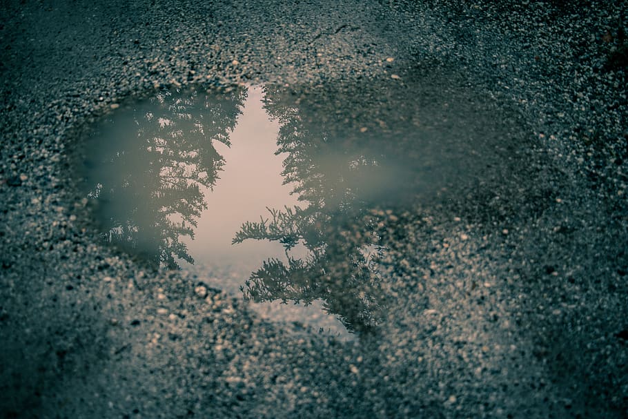 gray concrete ground, puddle, italy, tarvisio, nature, plant HD wallpaper