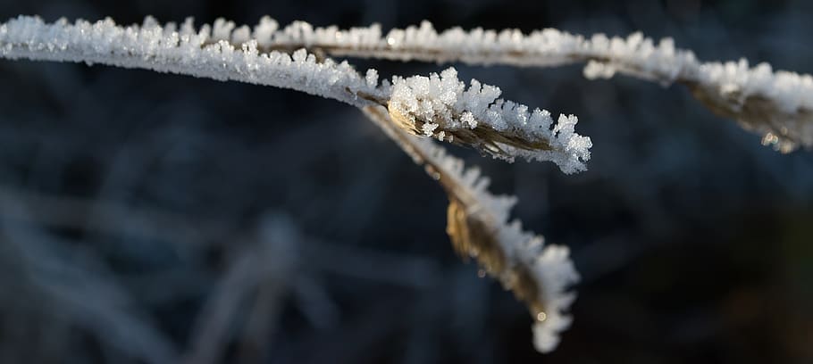 ice, winter, eiskristalle, snow, frost, cold, frozen, landscape HD wallpaper