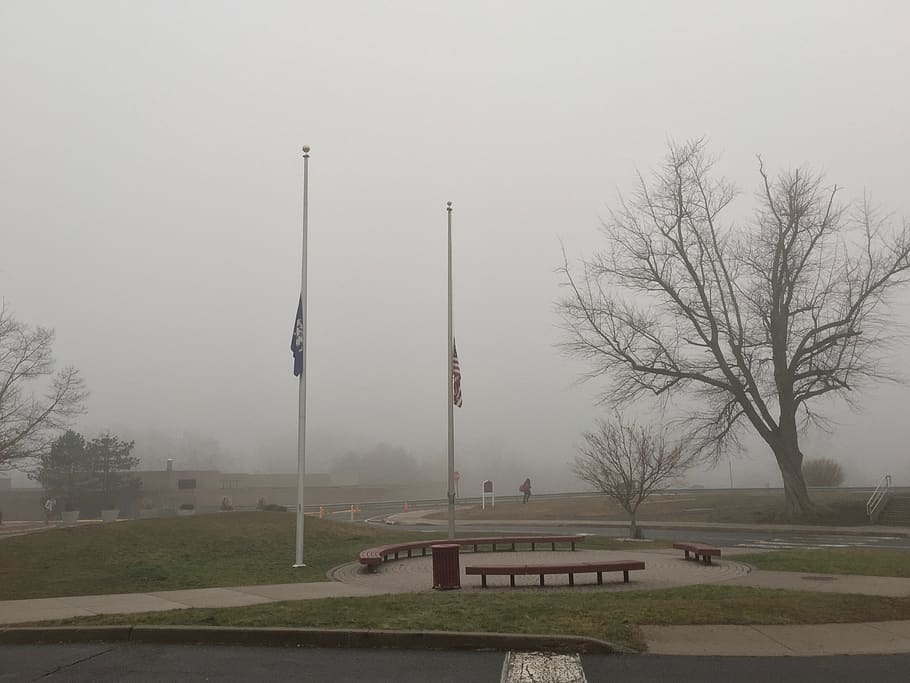 fog, clouds, cloudy, flagpole, flags, tree, trees, grey, gray HD wallpaper