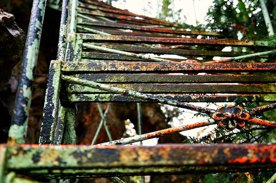 france, paris, day, focus on foreground, rusty, plant, close-up HD wallpaper