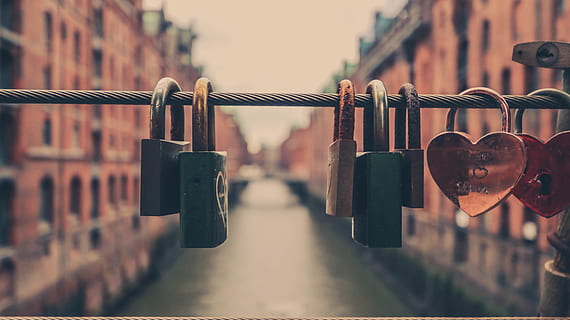 assorted-color padlocks in rope, hamburg, germany, romantic, combination lock HD wallpaper