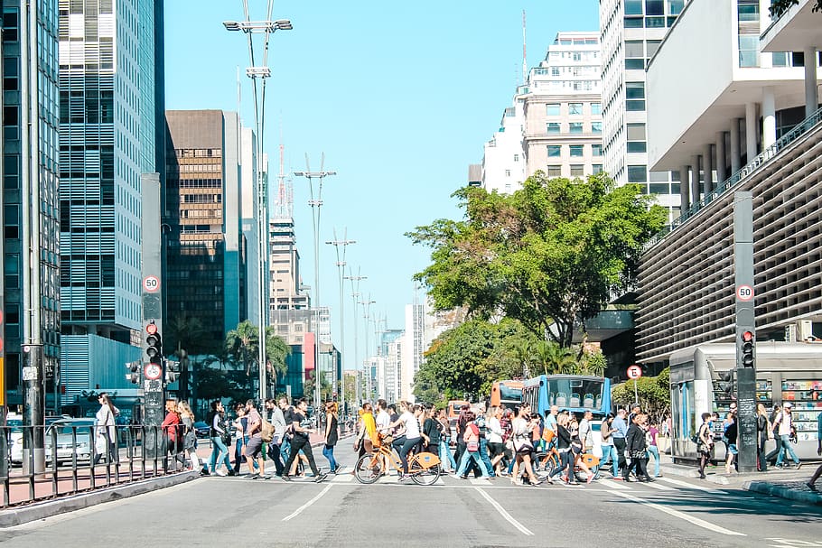 brazil, avenida paulista, semaforo, sign, avenue, pessoas, rua, HD wallpaper