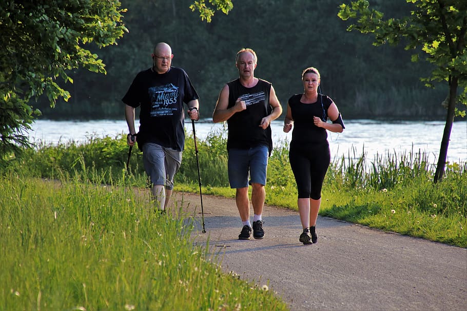 spacer, active, relaxation, park, walk, at the court of, on a walk HD wallpaper
