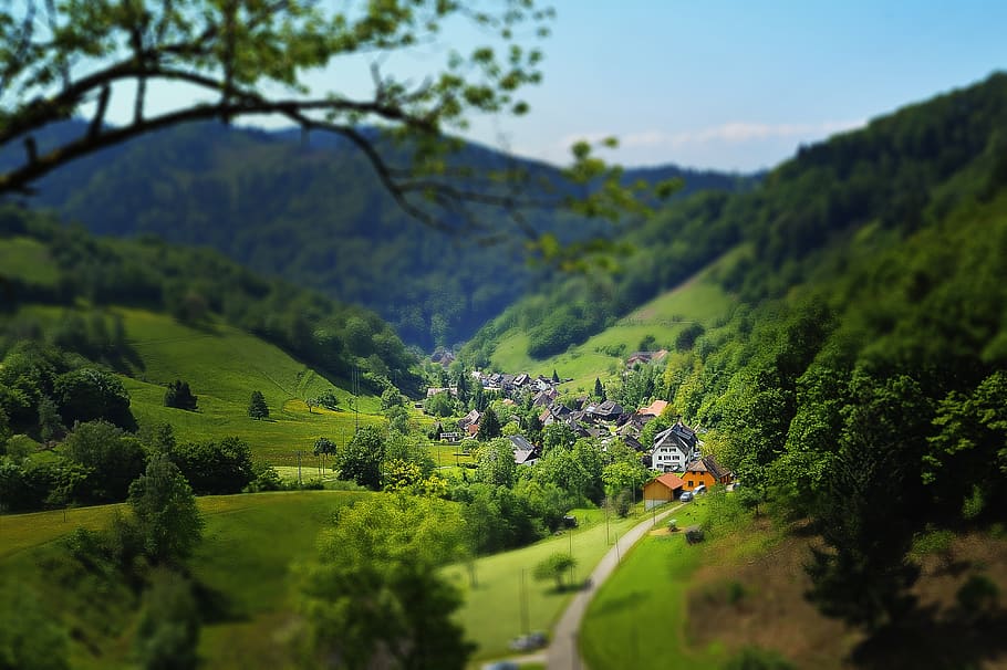 House Surrounded by Trees and Mountains, daylight, daytime, field HD wallpaper
