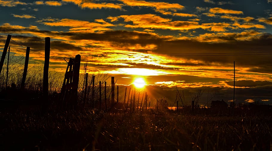 Silhouette Photo of Fence, clouds, dawn, sky, sun, sunrise, sunset HD wallpaper