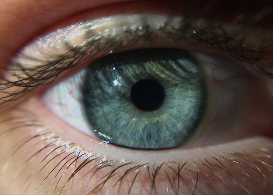 maldives, blue, iris, macro, eye, wallpaper, hd, close up, eyesight HD wallpaper