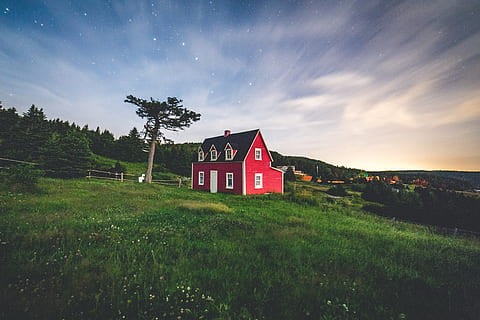 red house by tree on slope, nature, outdoors, building, countryside HD wallpaper