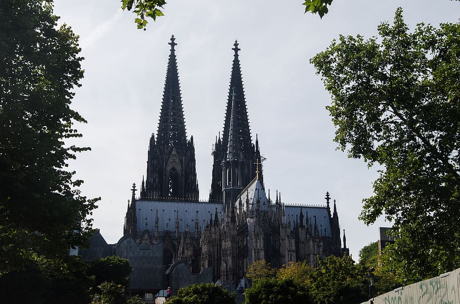 cologne, dom, city, trees, rhein, church, old, plant, built structure HD wallpaper