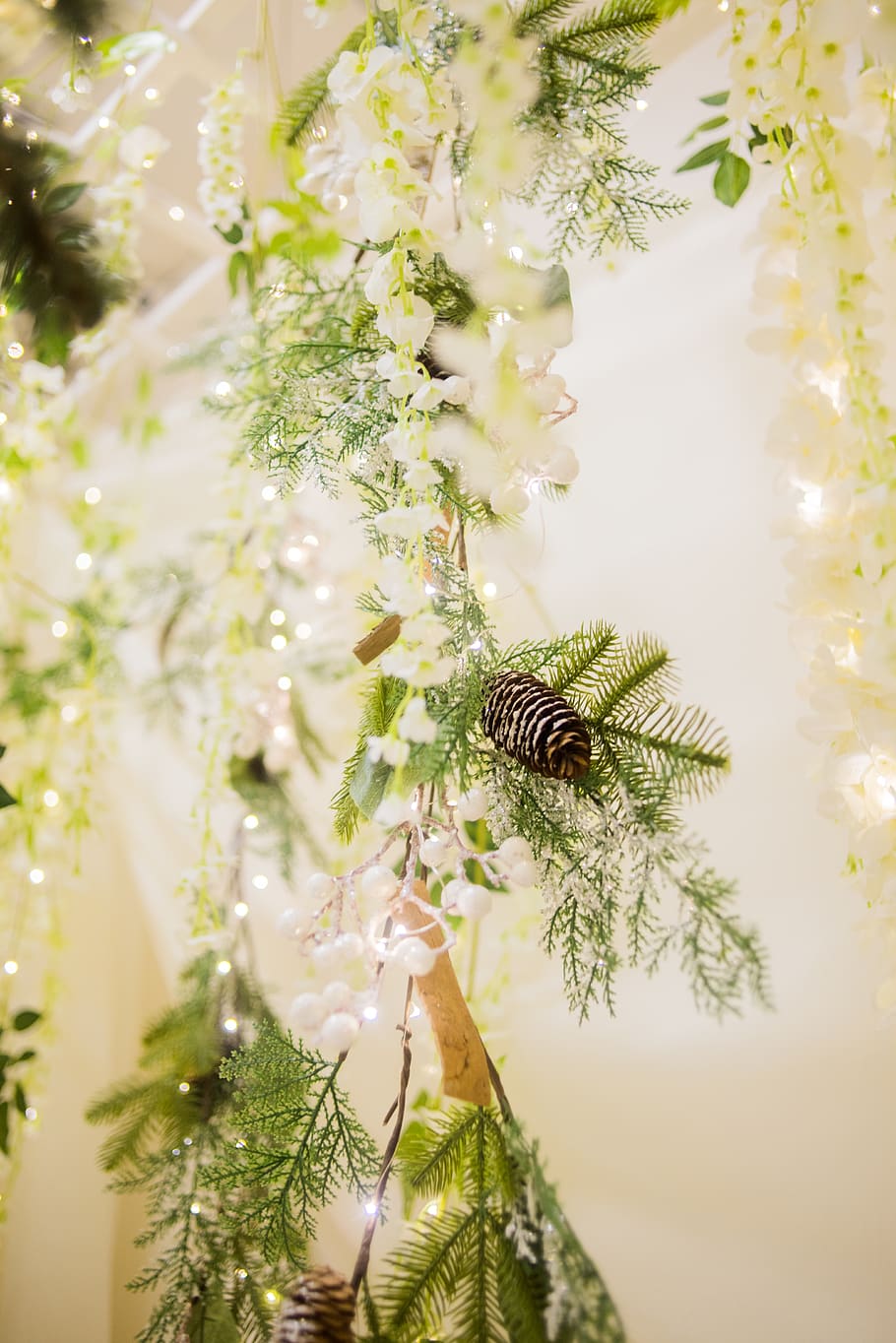 white flowers, plant, ornament, blossom, bee, invertebrate, honey bee HD wallpaper