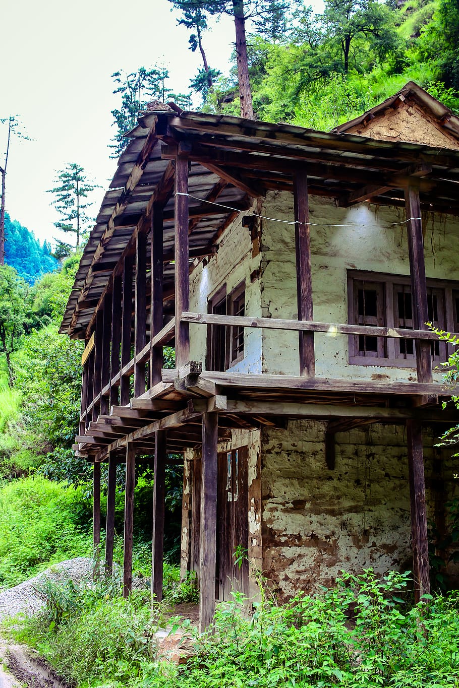 india, himachal pradesh, house, abandoned, old, trees, hills