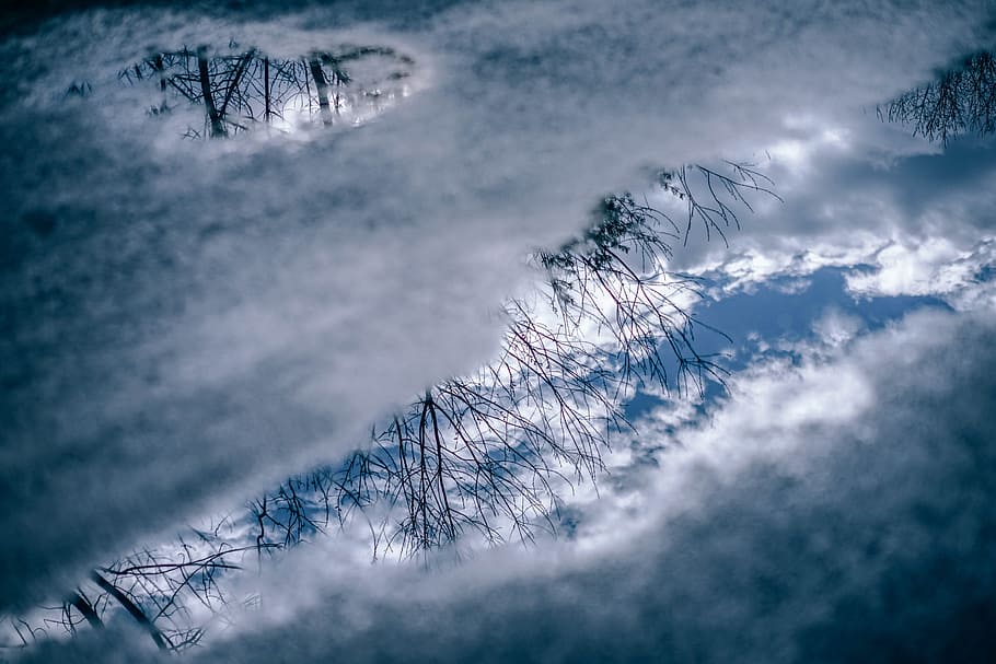 Morning Reflections, snow, tree, plant, winter, cold temperature HD wallpaper
