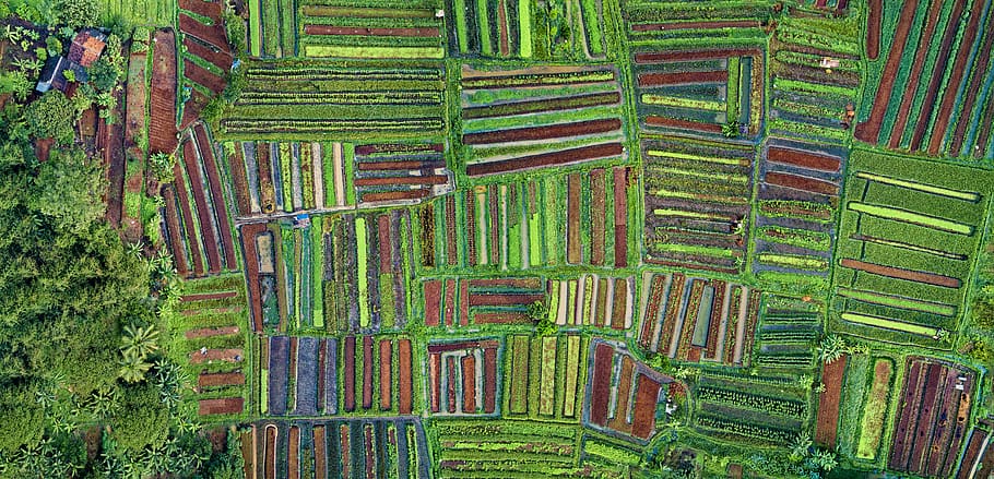 Aerial Photography of Green Grass Field, aerial shot, art, color