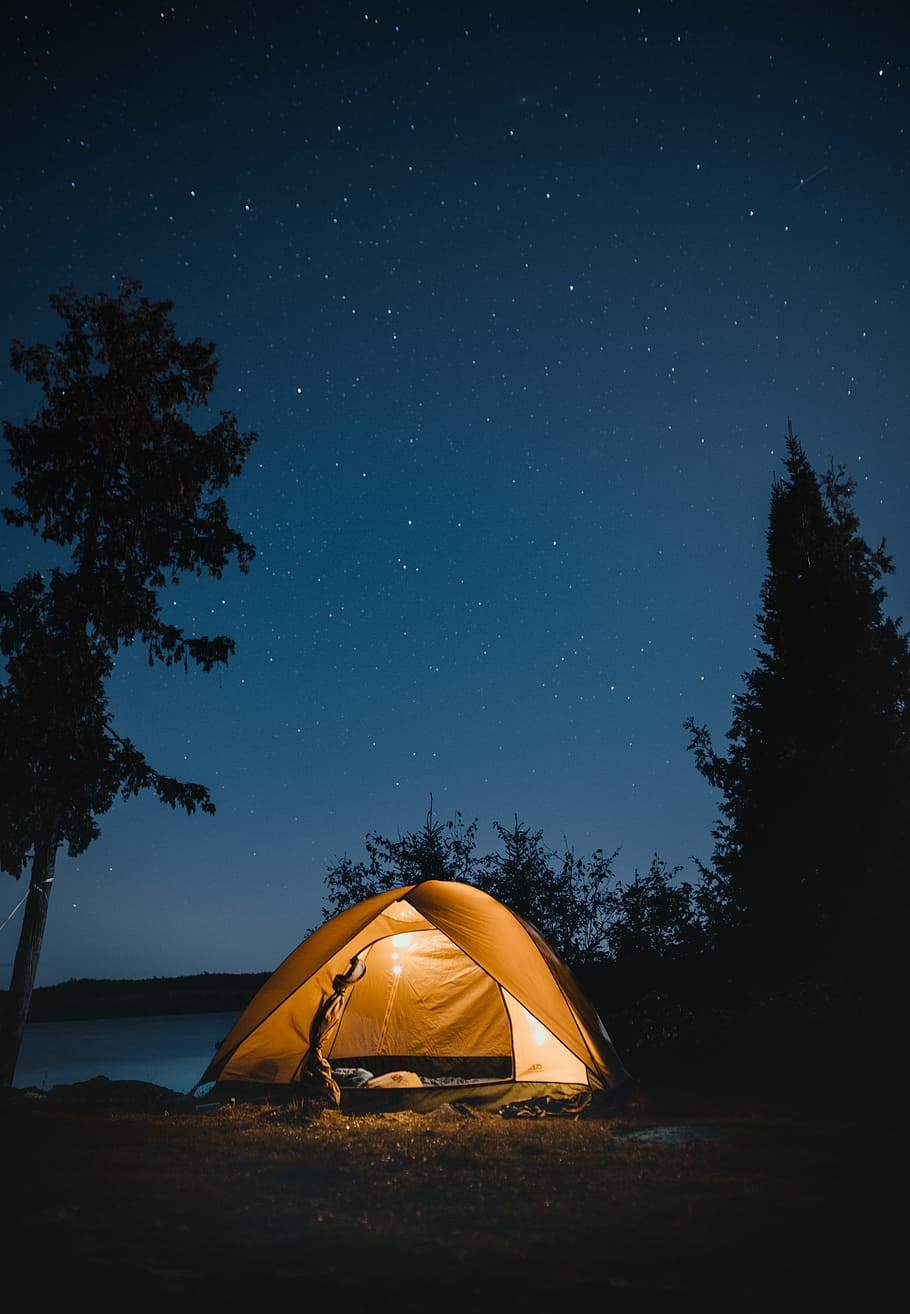 brown dome tent near trees at night, blue, star, light, glow HD wallpaper