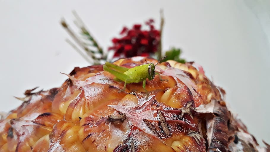 yellow pineapple fruit, animal, seafood, lobster, sea life, invertebrate HD wallpaper
