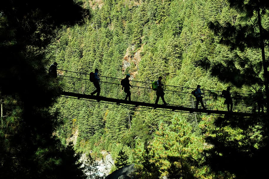 five person walking on hanging bridge, human, building, suspension bridge