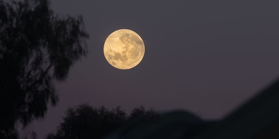 australia, watson, moon, space, night, sky, astronomy, scenics - nature HD wallpaper