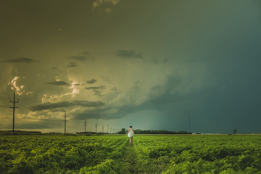 field, woman, walk, rural, country, nowhere, anywhere, agriculture, HD wallpaper