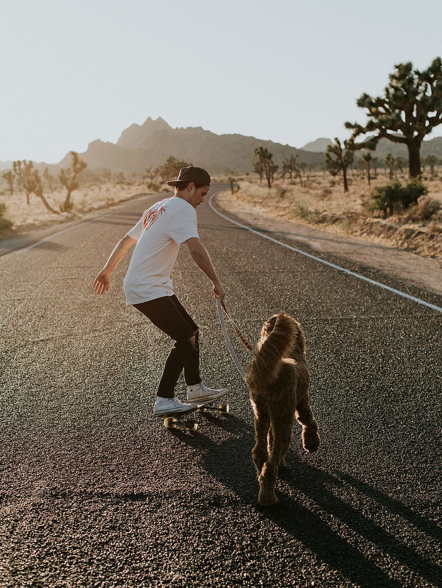 man in skateboard walking dog during daytime, skater, skating