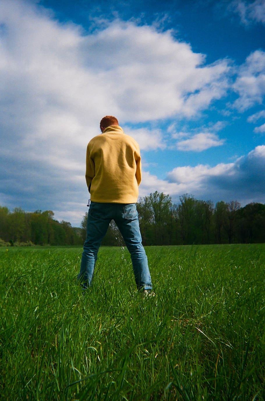 cloud - sky, grass, rear view, plant, one person, land, field HD wallpaper