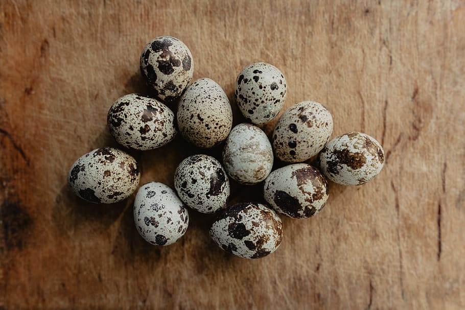 Quail eggs, food, easter, food and drink, wellbeing, healthy eating HD wallpaper