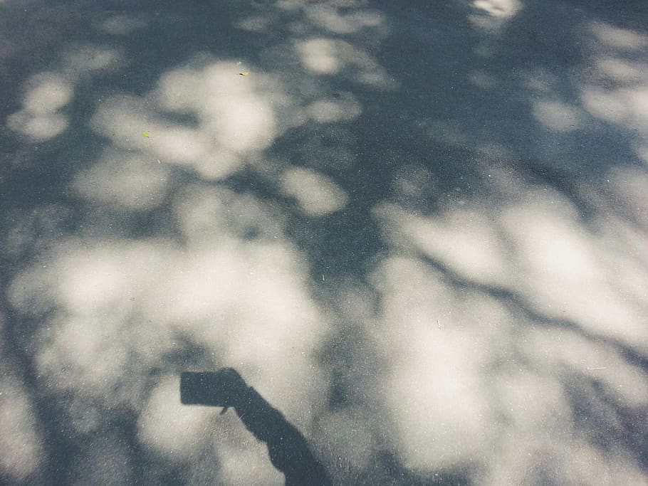 tree, light, picture, hand, no people, nature, day, cloud - sky HD wallpaper