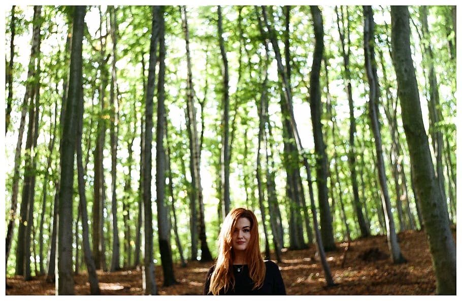 forest, poland, trees, woman, film, 35mm, analog, redhead, ginger, HD wallpaper