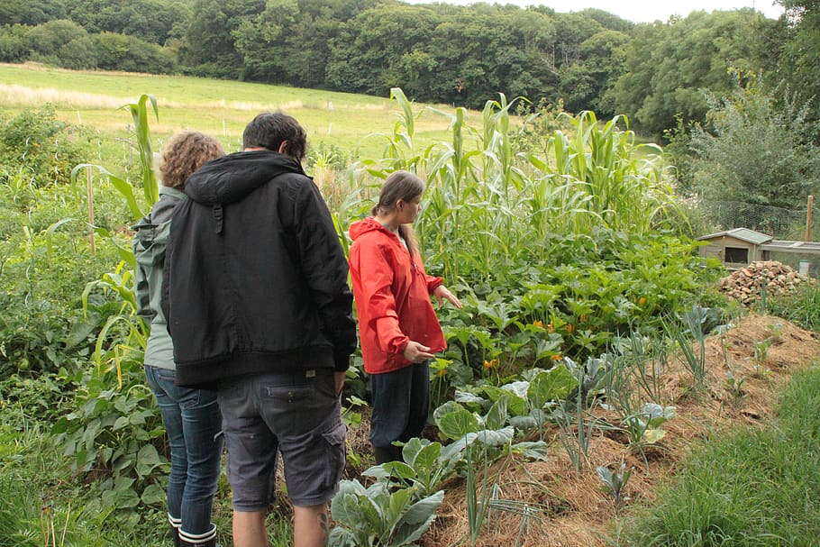 Wales University grad creates a Permaculture garden in Kashmir