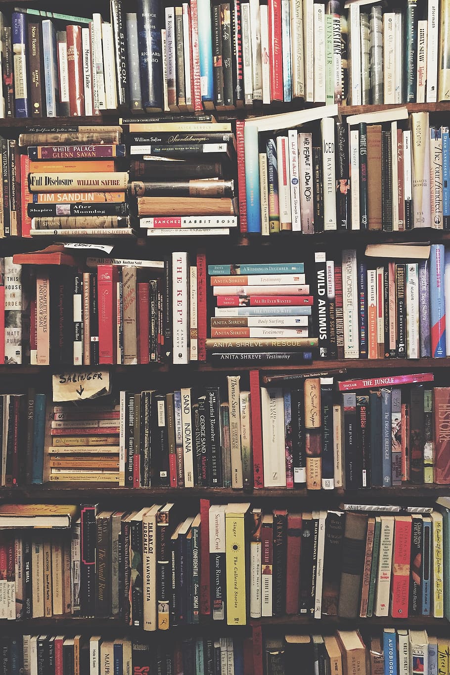 salinger, bookstore, bookshelf, publication, large group of objects HD wallpaper