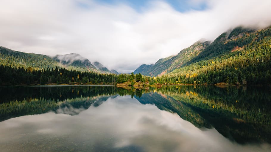 body of water surrounded by trees, lake, gold creek pond, outdoors, HD wallpaper