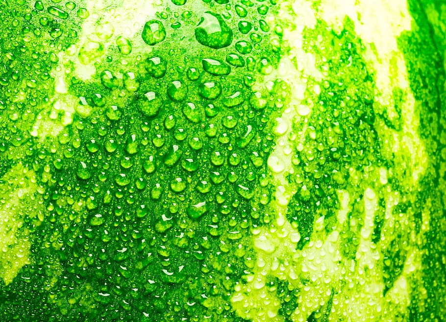 watermelon, close-up, closeup, diet, dieting, eating, food HD wallpaper