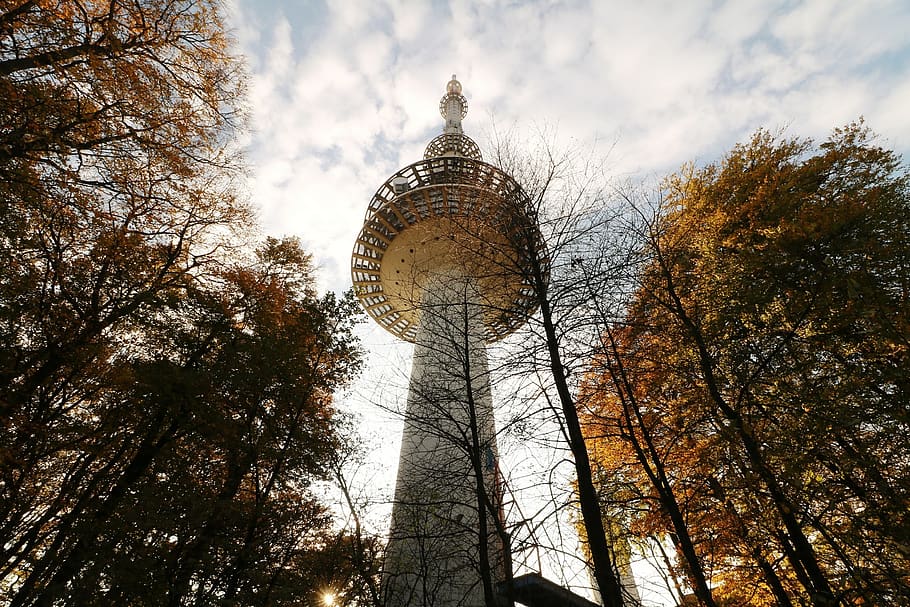 tree, sky, park, nature, large, landscape, autumn, tower, architecture HD wallpaper