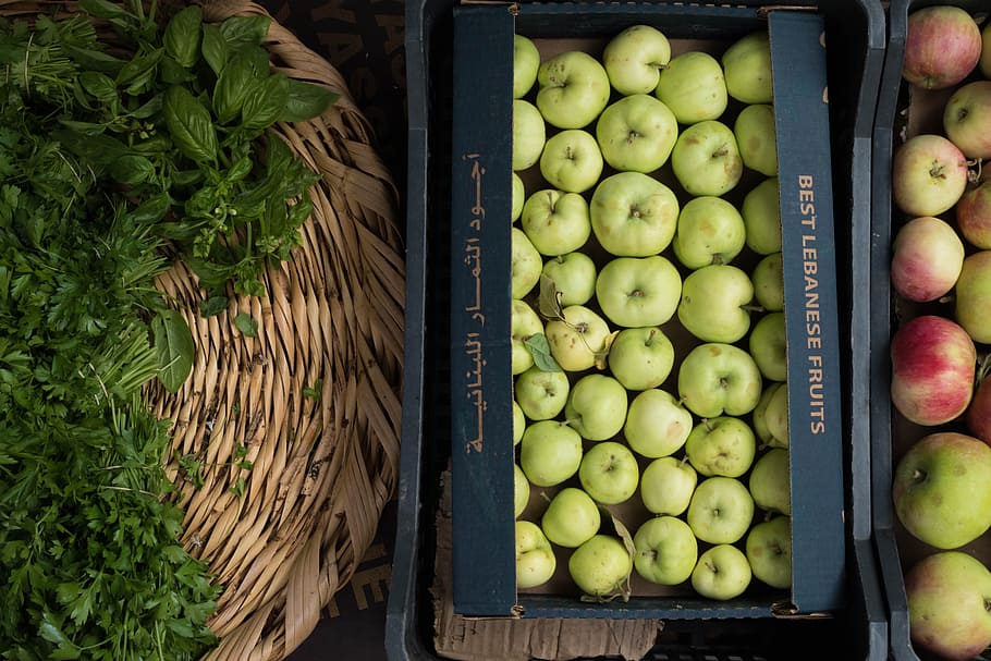Apples and herbs, coriander, fruit, green, parsley, food and drink HD wallpaper